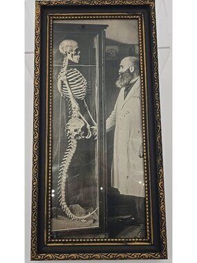 OOAK Framed Print Creepy Ephemera Mermaid Skeleton Realistic Oddities Curiosity